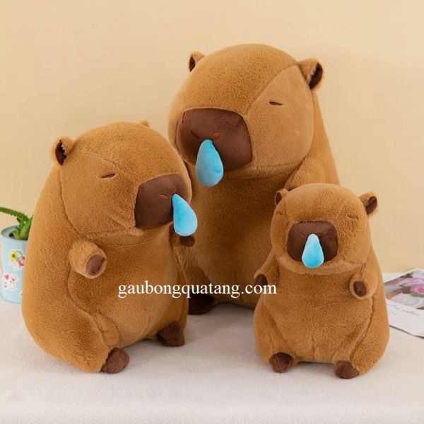 goi om capybara chay nuoc mui mau nau gai tot tai hcm